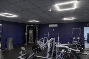 Revive Health & Fitness